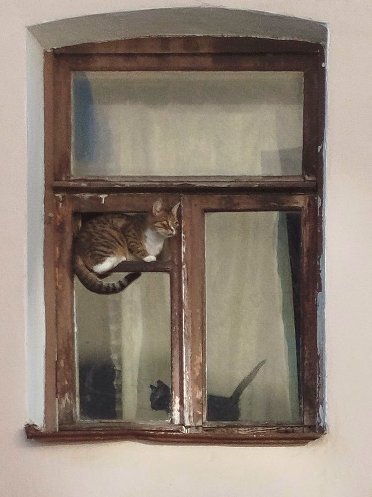 Photograph by Наталья Зяткина