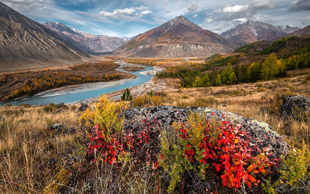 Яркие краски осеннего Алтая
