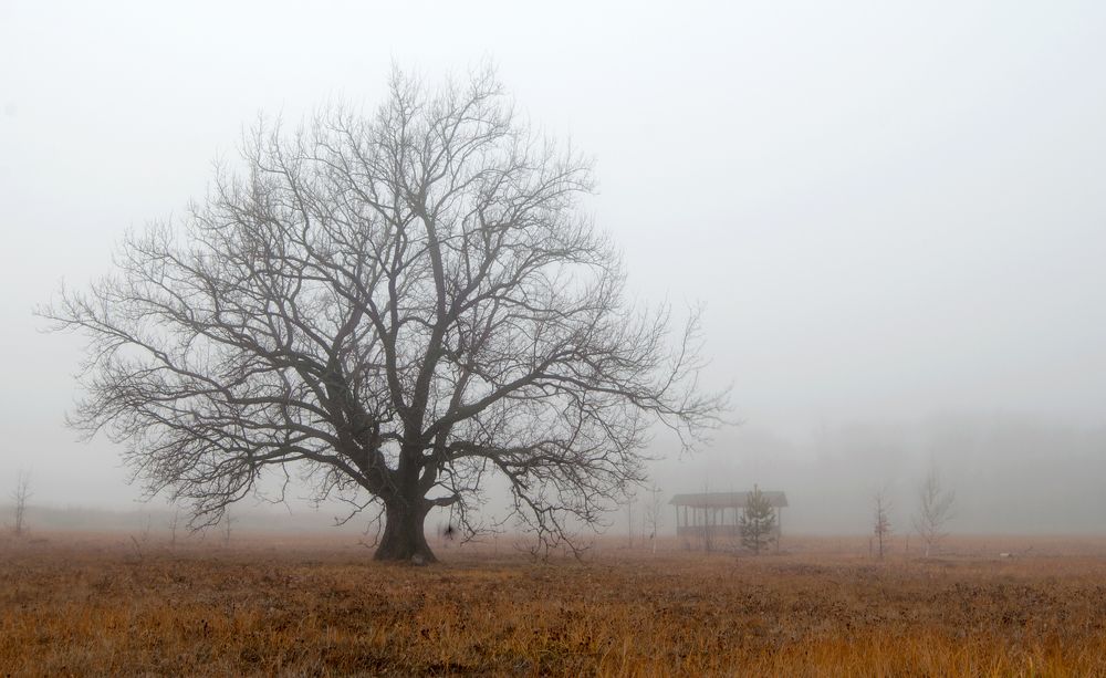 Photograph by Виталий Слёзка