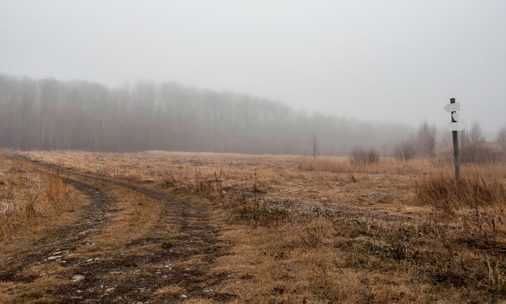 Photograph by Виталий Слёзка