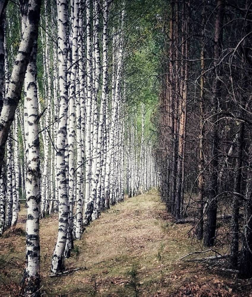 Photograph by Марина