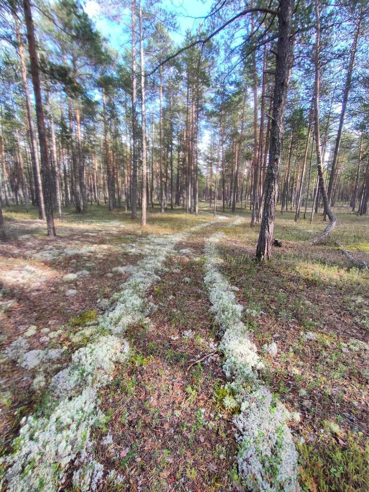 Photograph by Илья