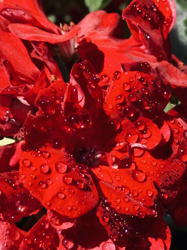 Photograph by Marianna Zakirova