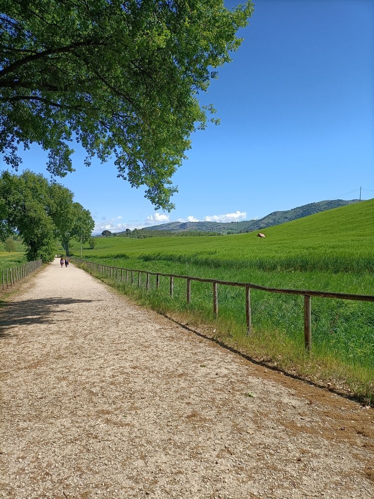 Photograph by Iryna Shyshkina