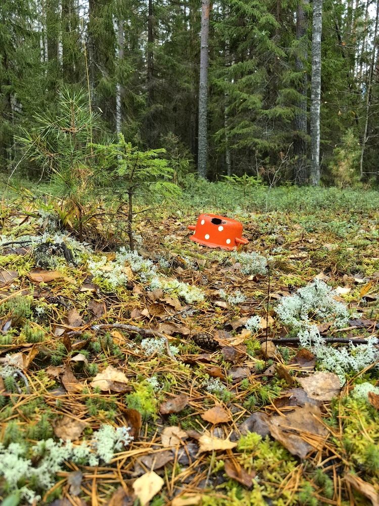 Photograph by Татьяна Емельянова