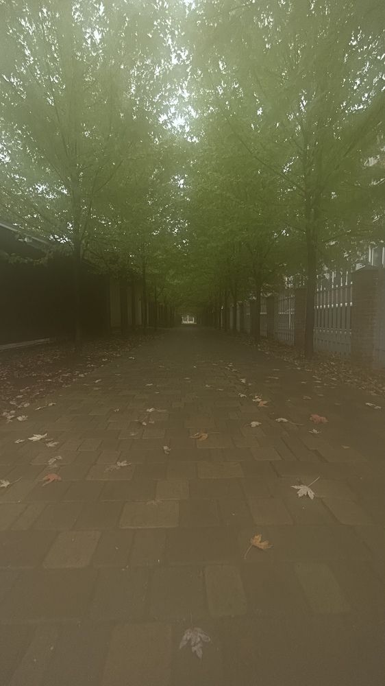 Photograph by Виктория Максименко