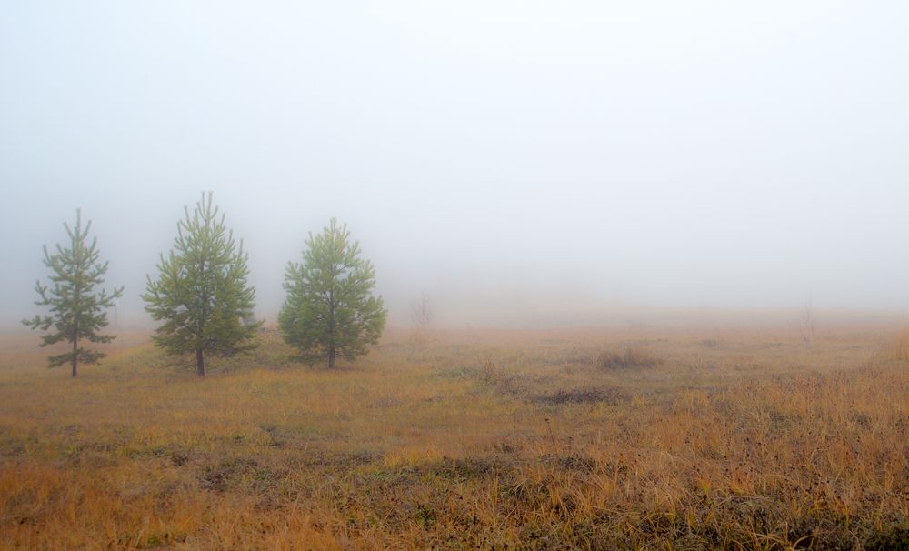 Photograph by Виталий Слёзка