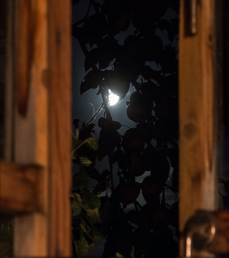 Фотография автора Борис Журавлёв