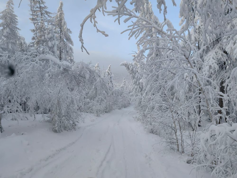 Photograph by Марина