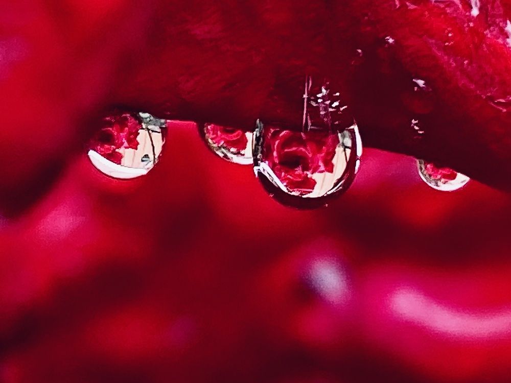 Фотография автора ГУЗАЛИЯ ГАНИЕВА