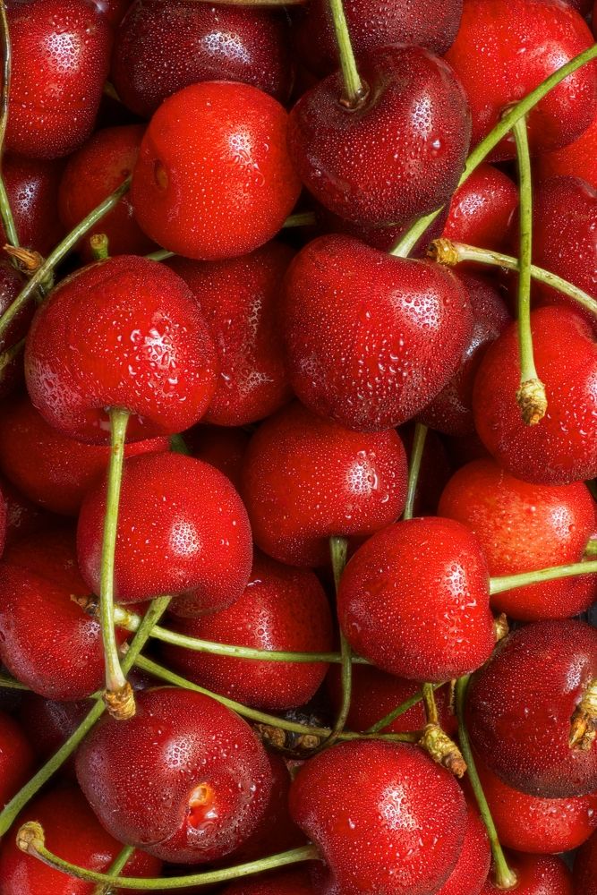 Photograph by Вышарь Максим