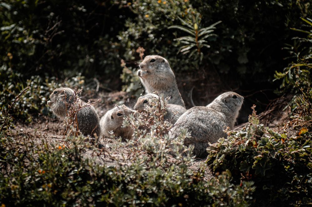 Photograph by Ангелина Ларина