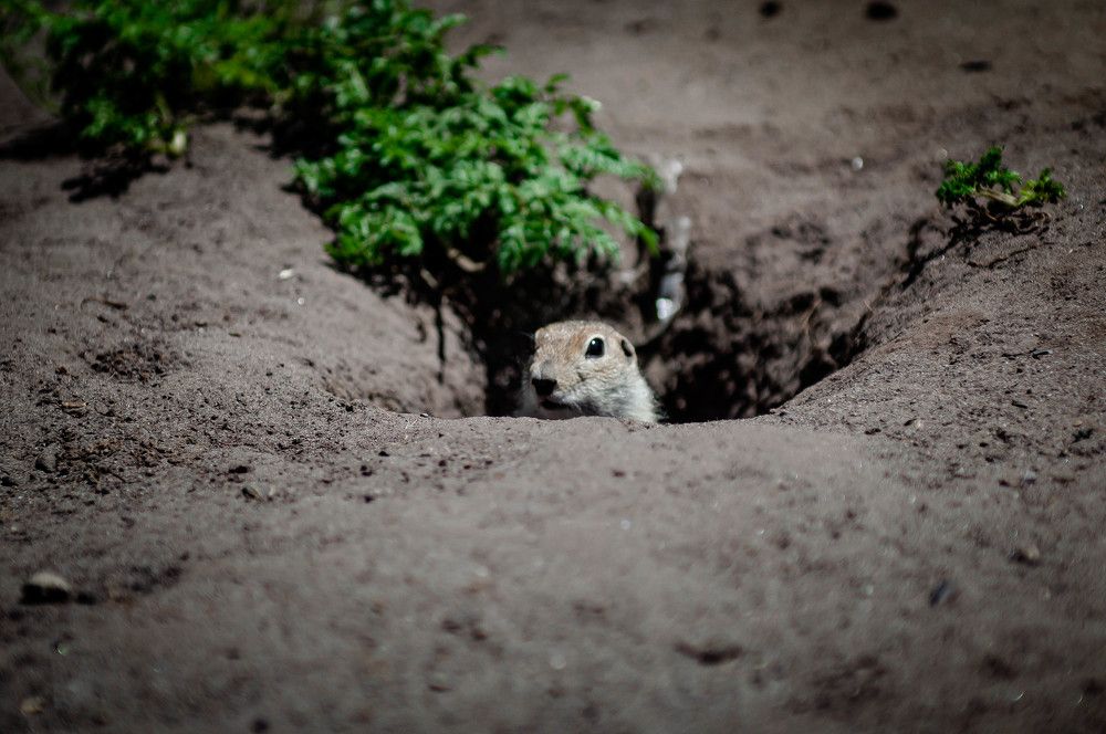 Photograph by Ангелина Ларина