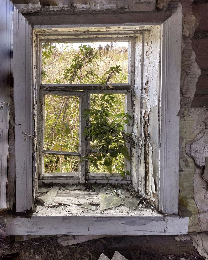 Photograph by Марина