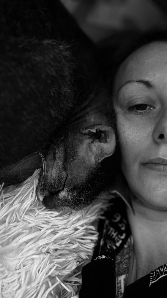 Photograph by Светлана Родионова