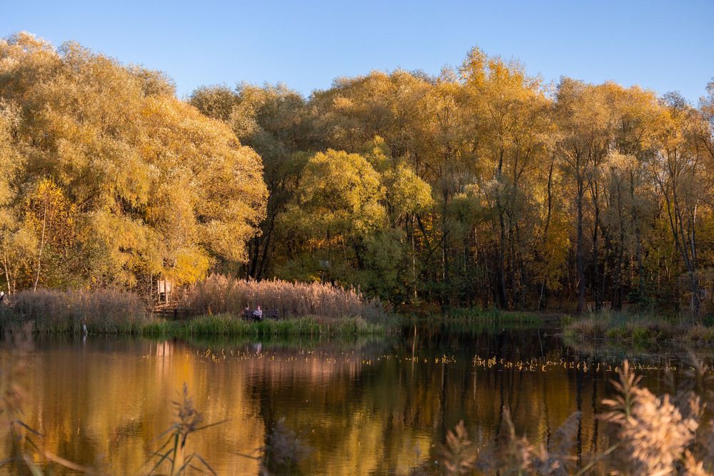 Photograph by Олег Дорошенко