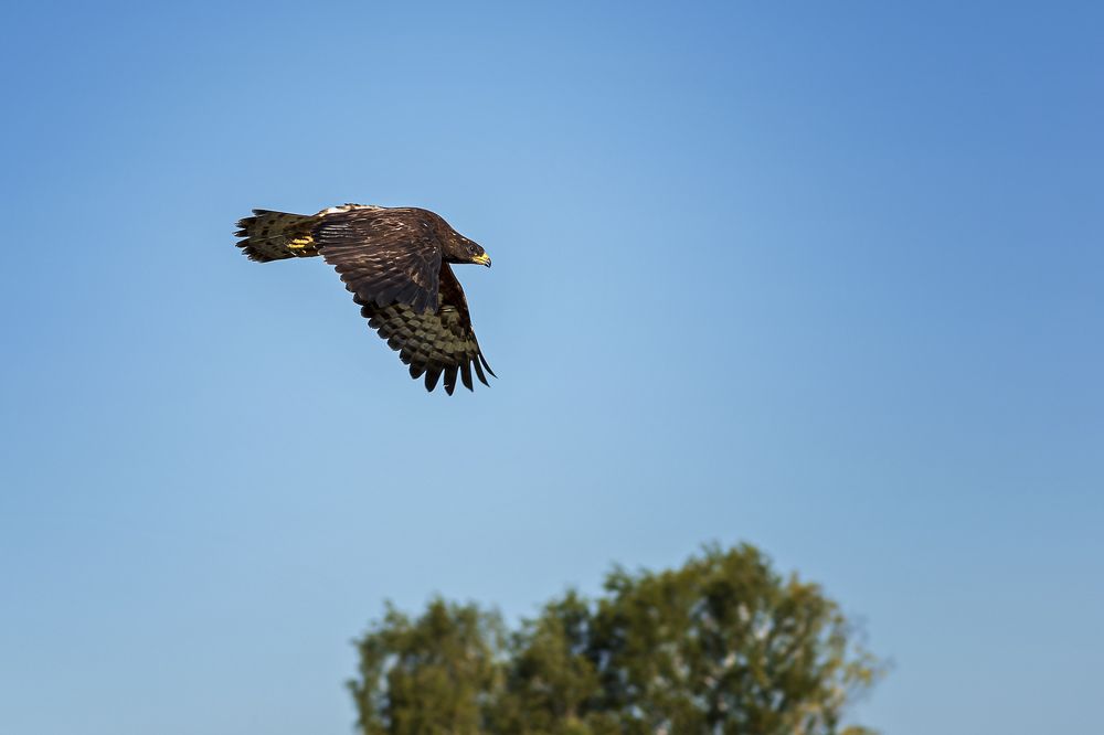 Photograph by Елена Баженова