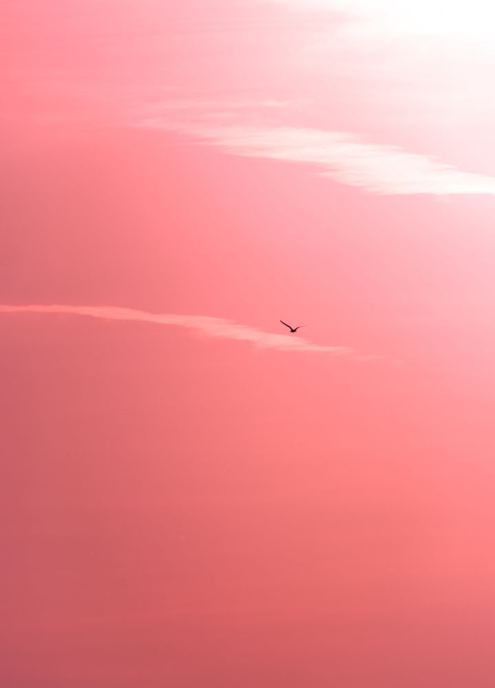 Photograph by Ivan Majors