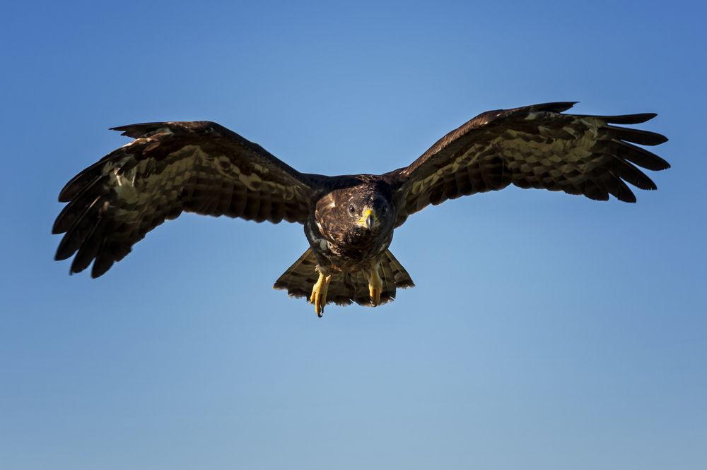 Photograph by Елена Баженова