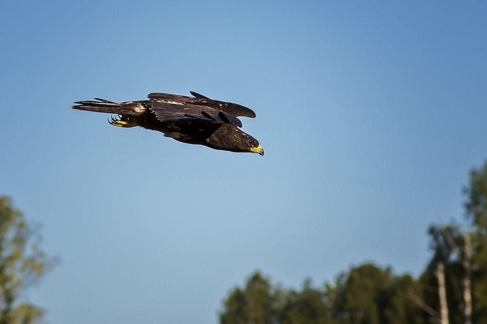 Photograph by Елена Баженова