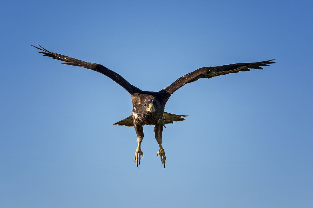 Photograph by Елена Баженова