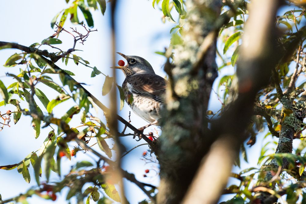 Photograph by Лейла Матар