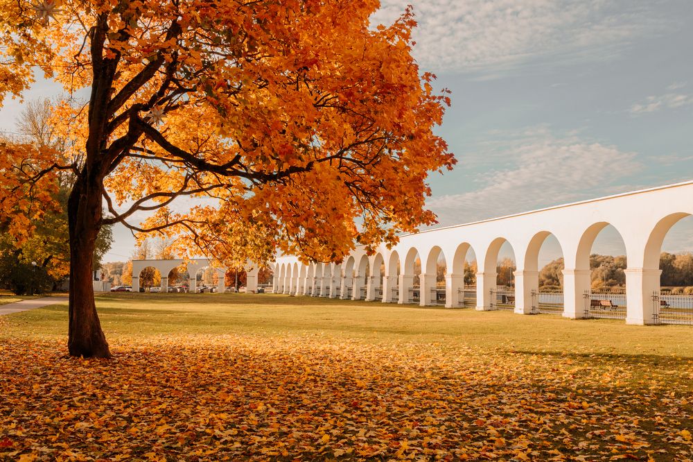 Photograph by Сергей Белокуров