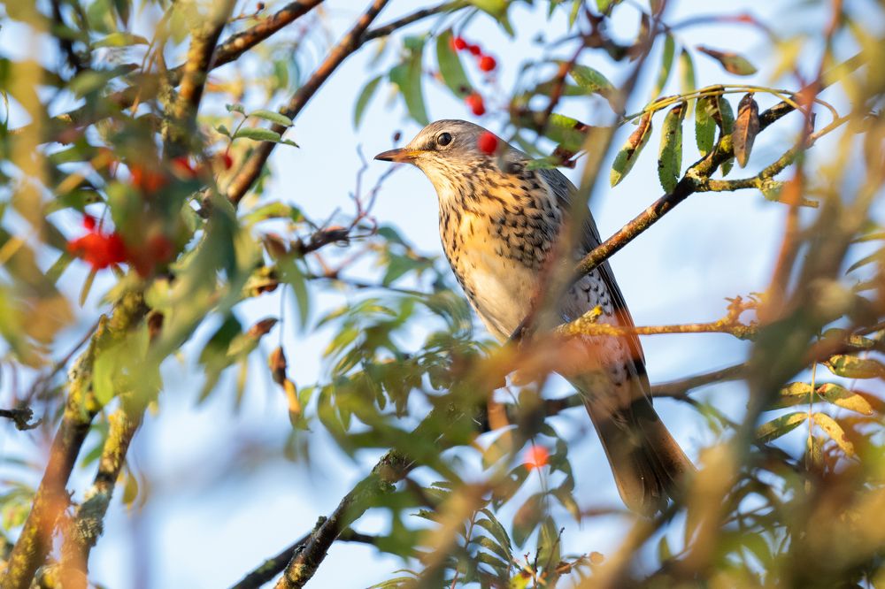 Photograph by Лейла Матар