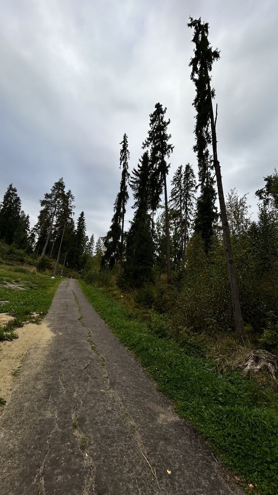 Photograph by Виктория Максименко