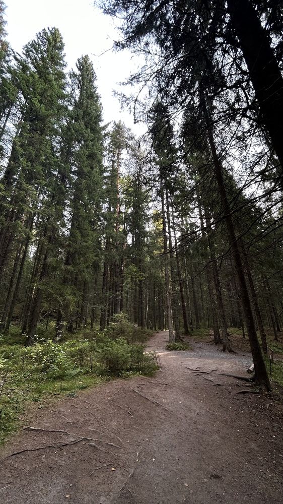 Photograph by Виктория Максименко