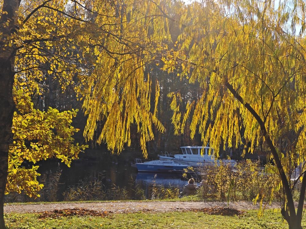 Photo #11217951