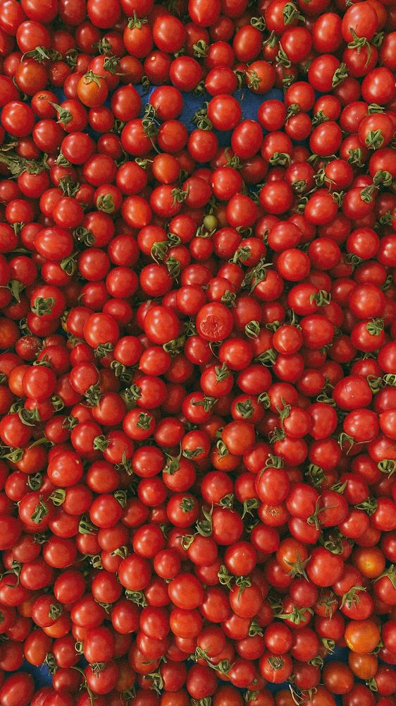 Photograph by Дарья Гомза