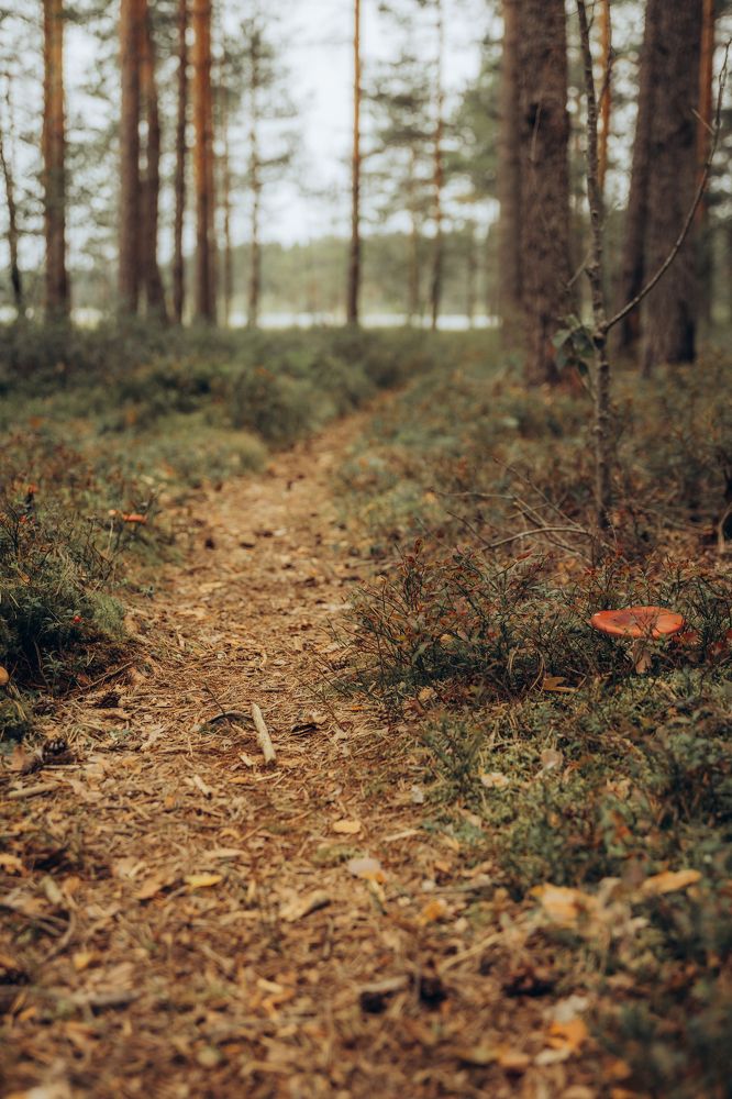 Photograph by Сергей Белокуров