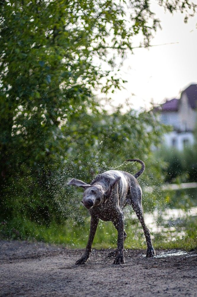 Photograph by Алексей Ефанов