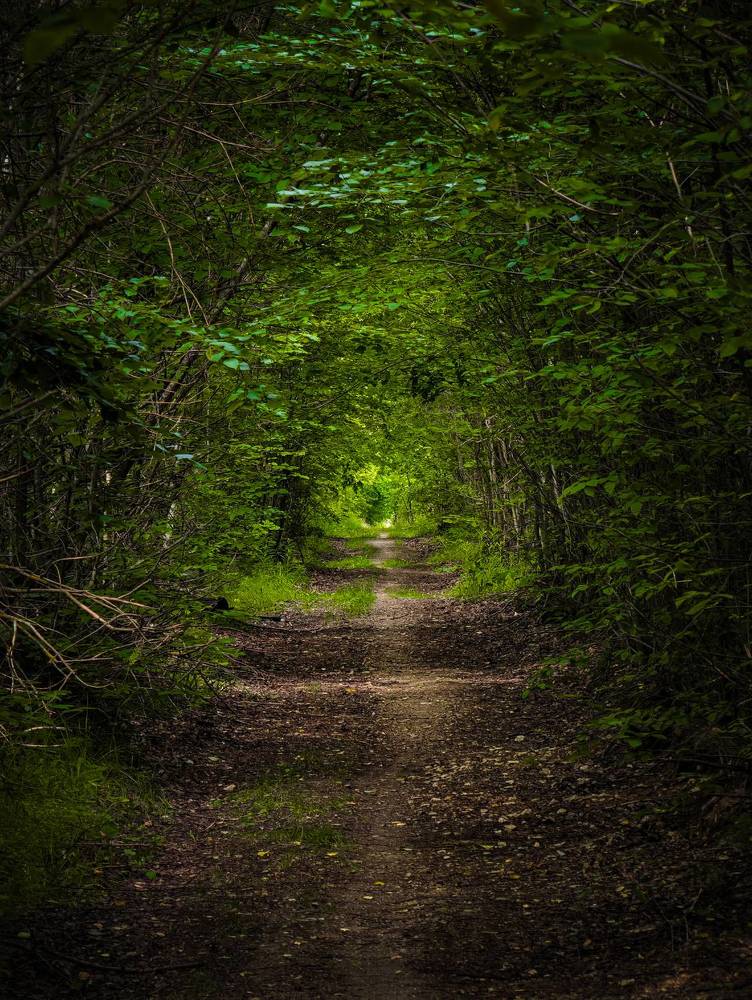 Photograph by Konstantin Martynov