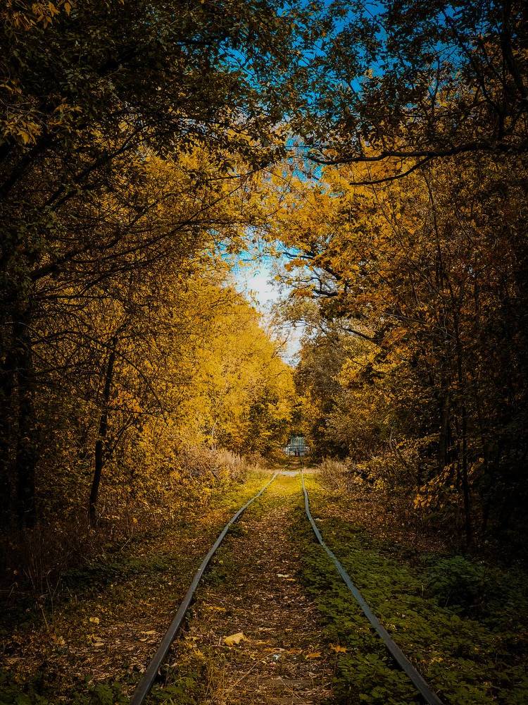 Photograph by Konstantin Martynov