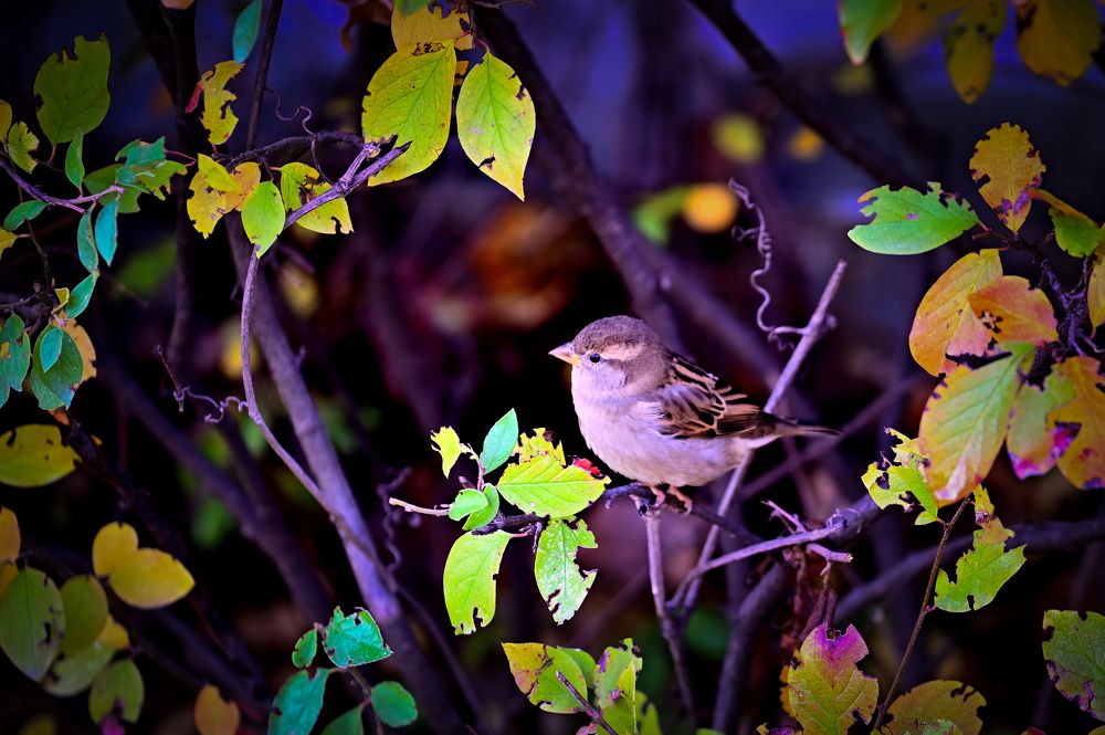 Photograph by Алексей