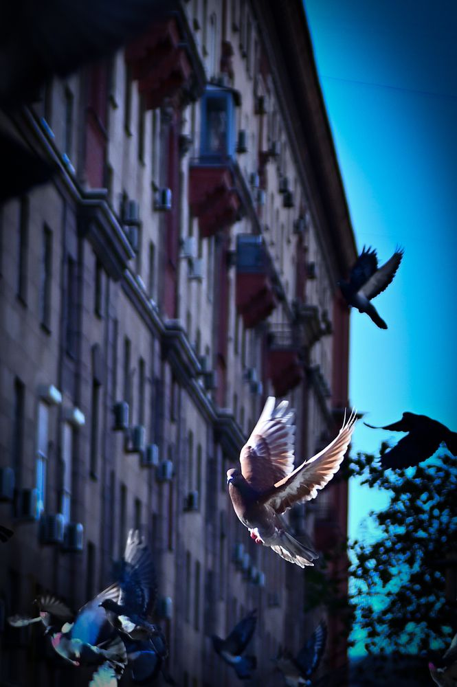 Photograph by Алексей