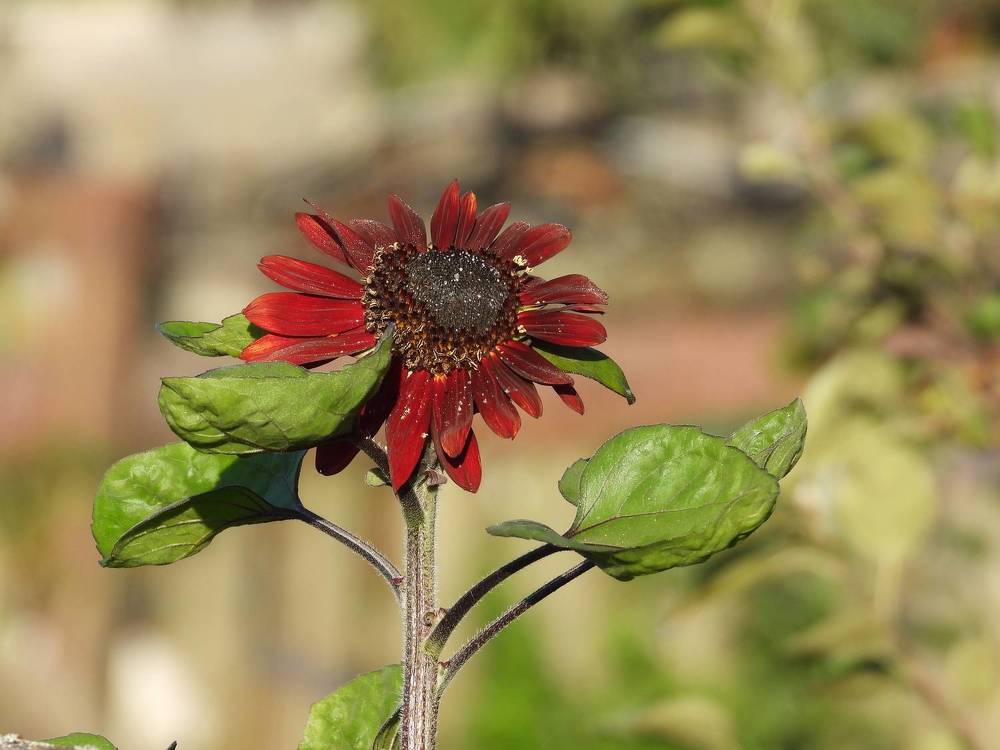 Photograph by Владимир Джерихов