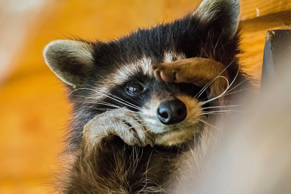 Photograph by Виталий Слёзка