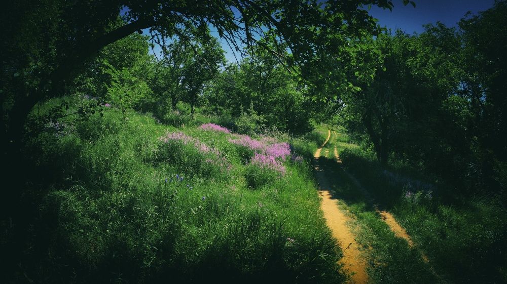 Фотография автора Liubomyr Iasin