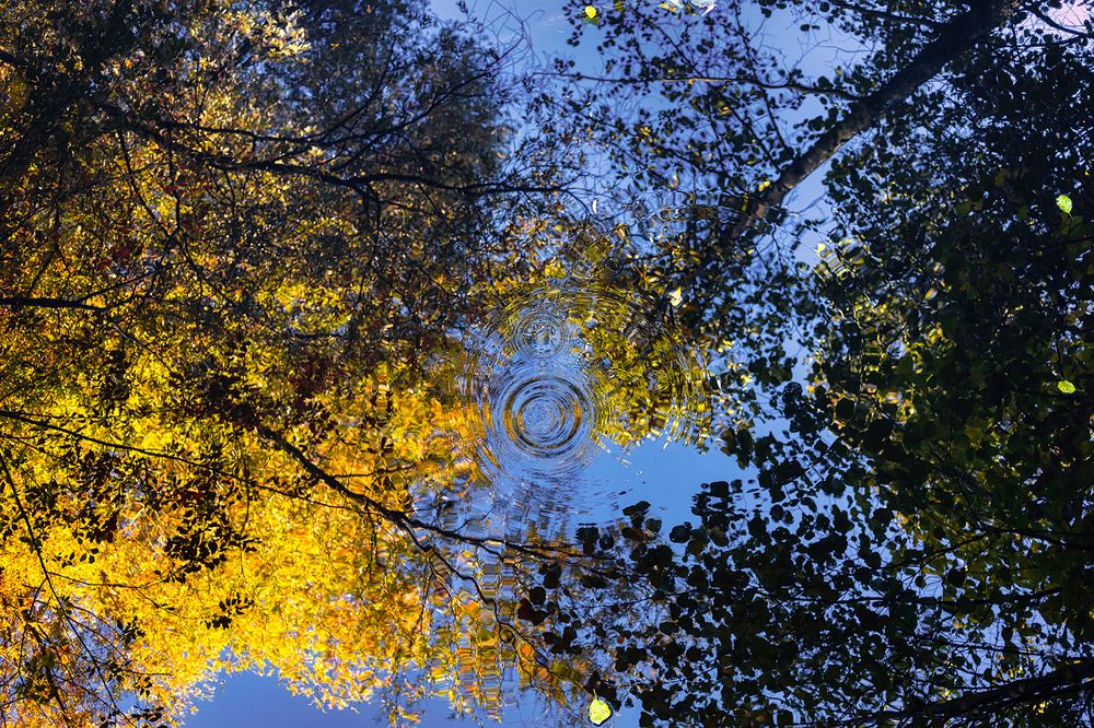 Photograph by Michel