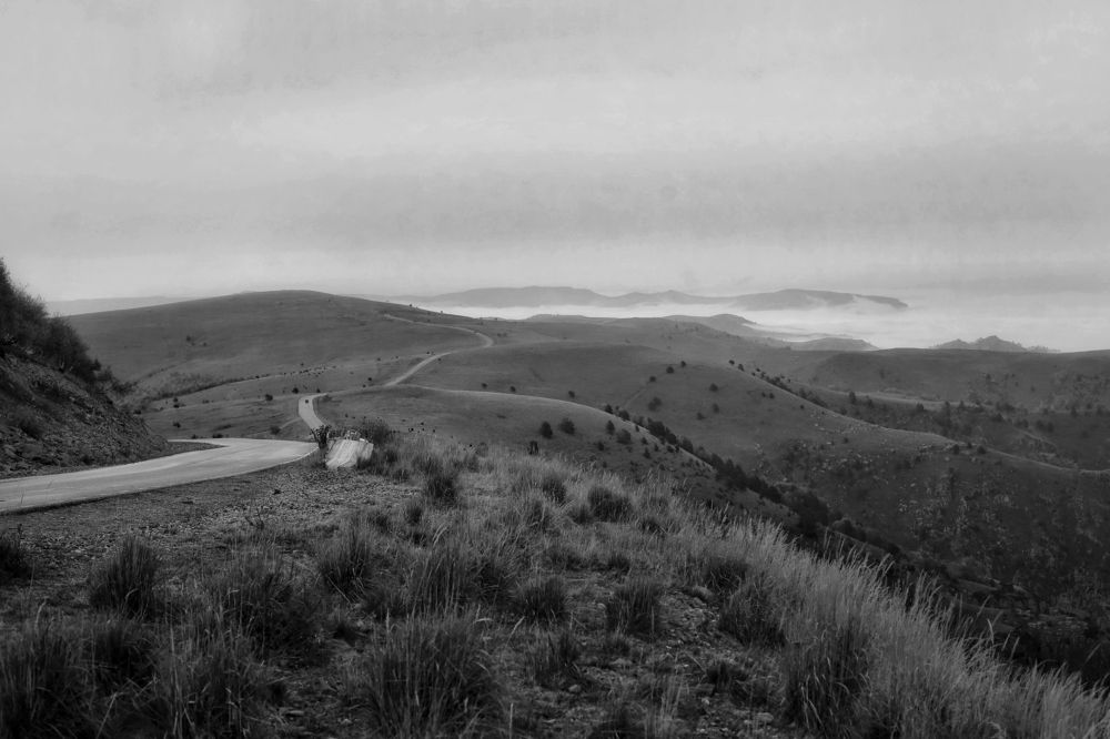 Photograph by Людмила Евстратова