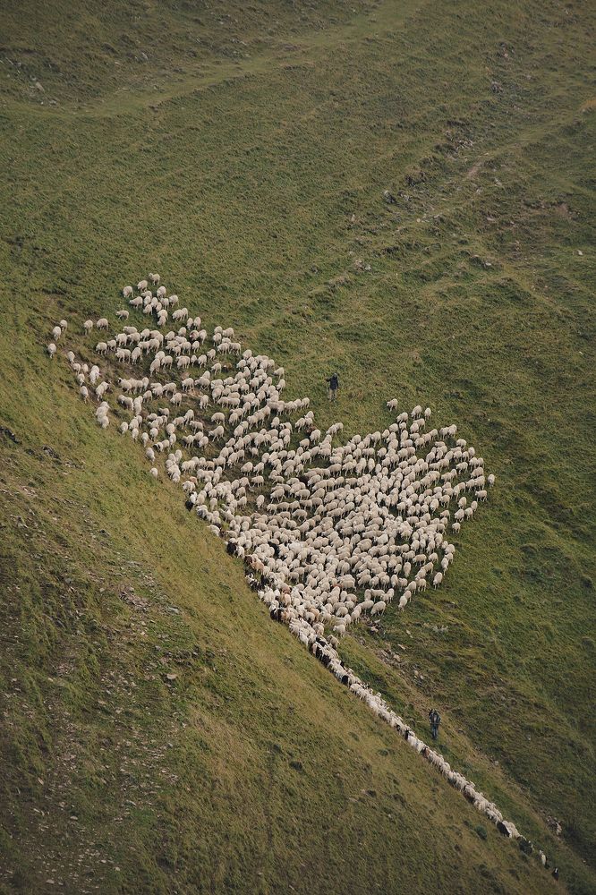 Photograph by Елена Тульчинская