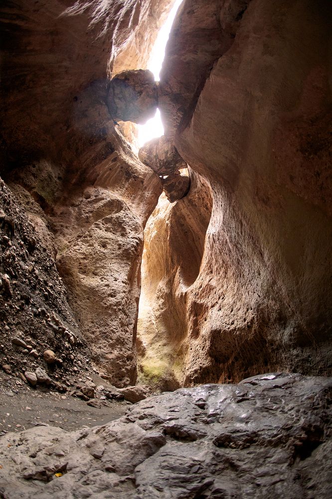 Photograph by Елена Тульчинская