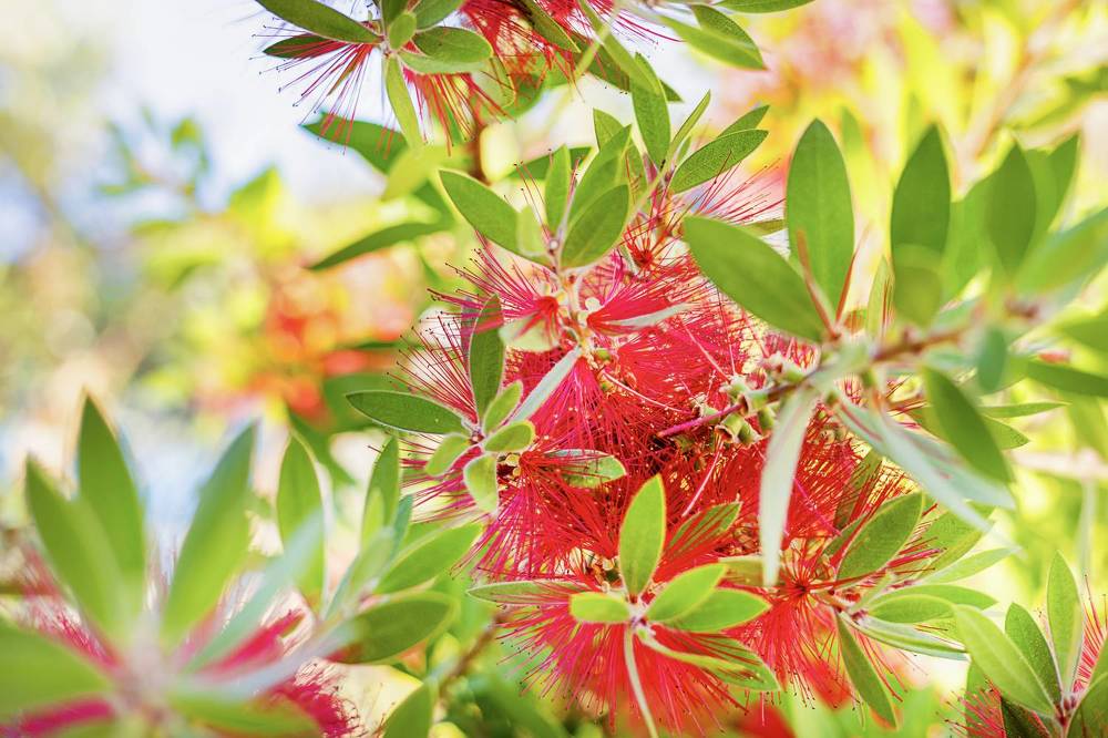 Photograph by Zhdanova Maria