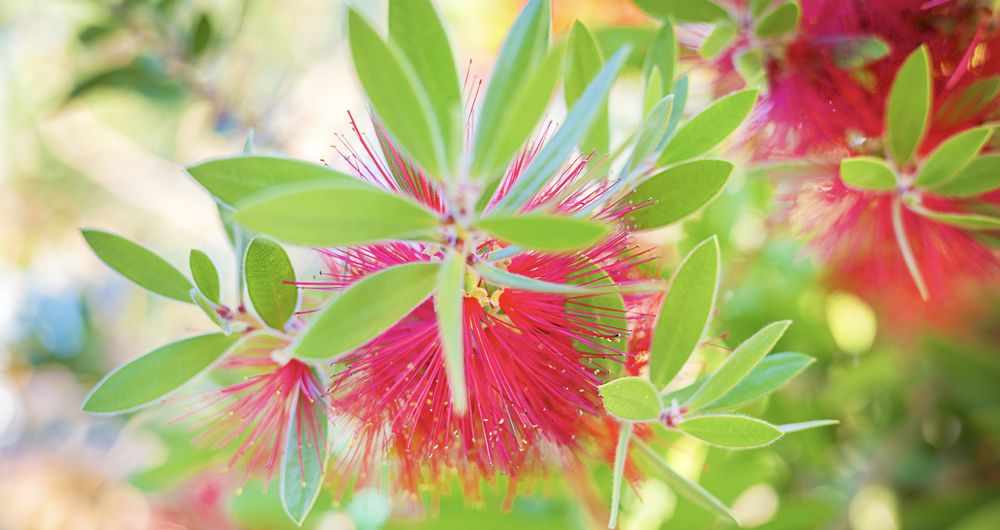 Photograph by Zhdanova Maria