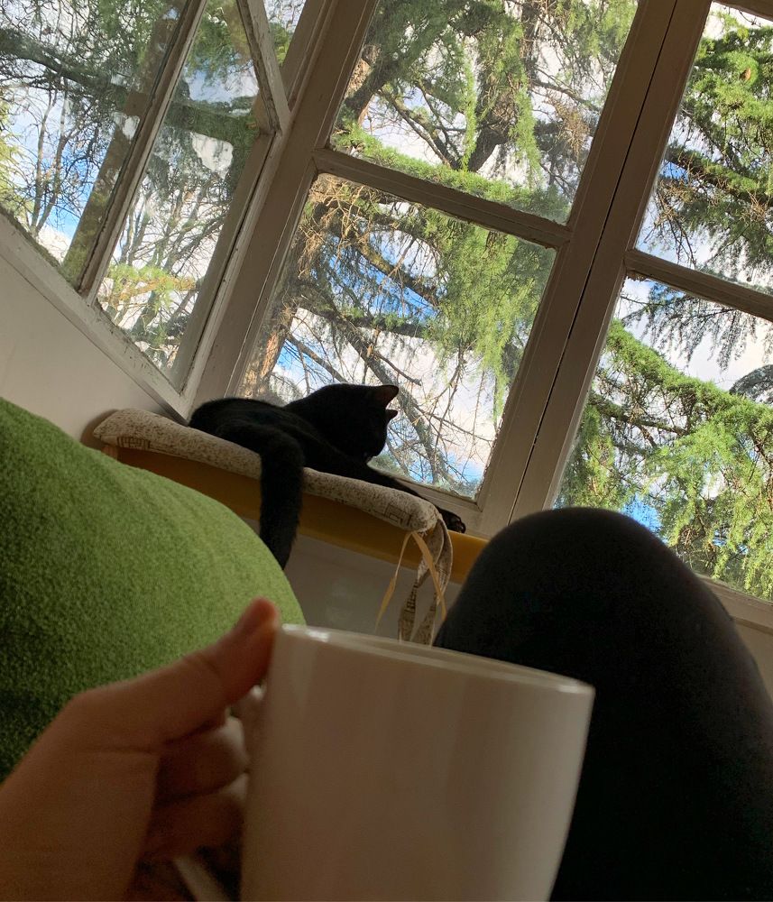 Photograph by Александра Тимошенко