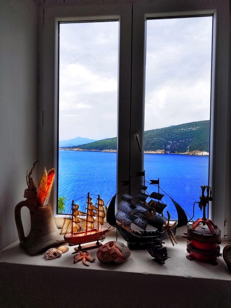 Фотография автора JELENA VASIC