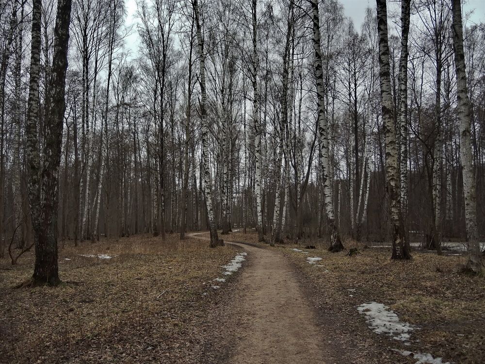 Ранней весной